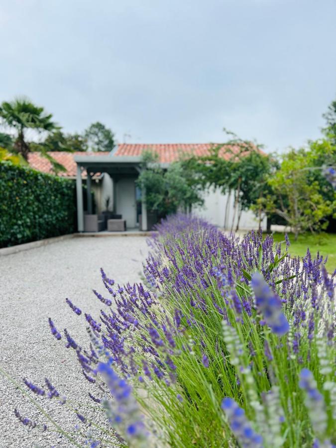 O'Pintxo Bed & Breakfast Onesse-et-Laharie Exterior photo